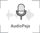 Audio paja